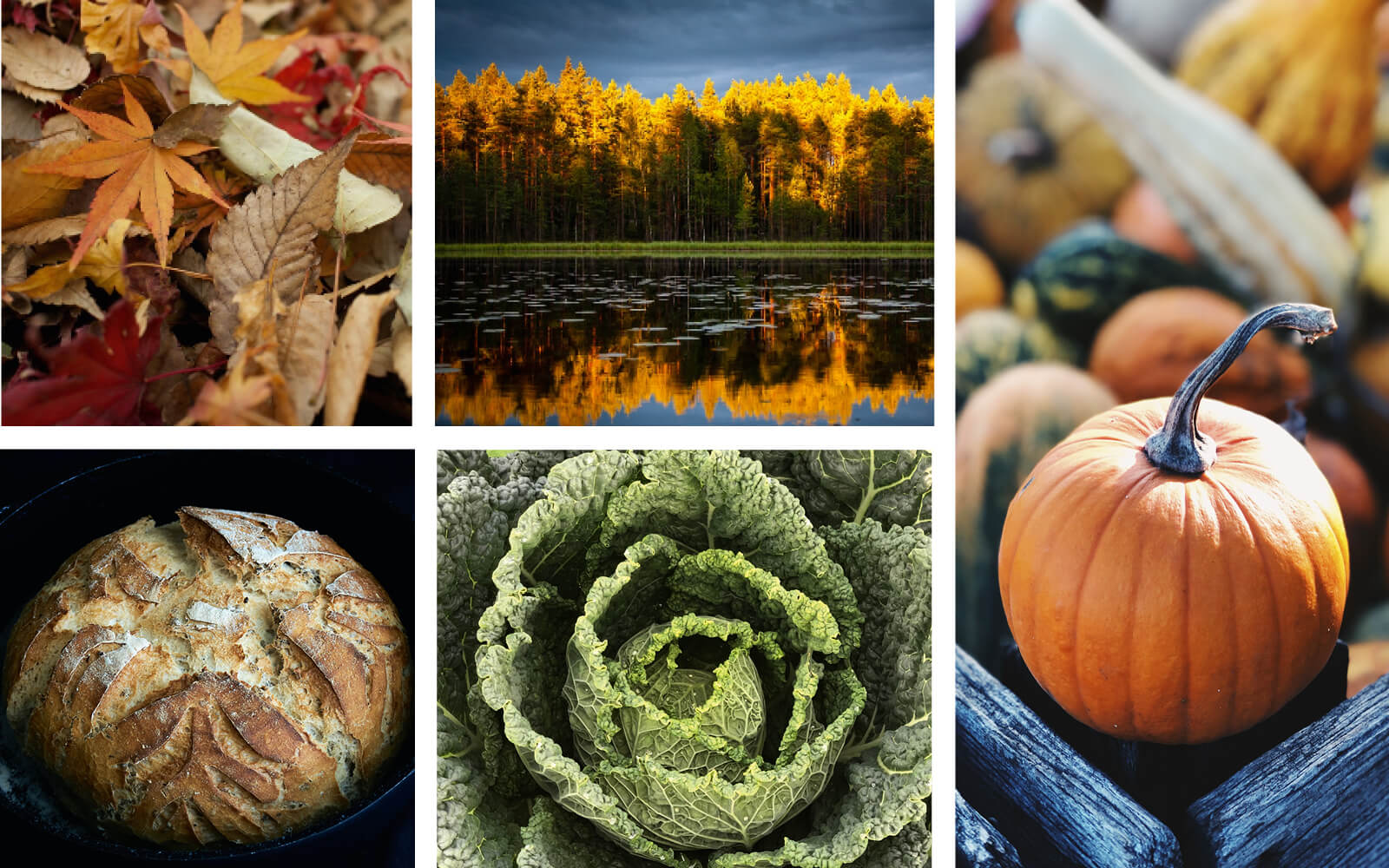 farbpsychologie-herbst Farbpsychologie Herbst