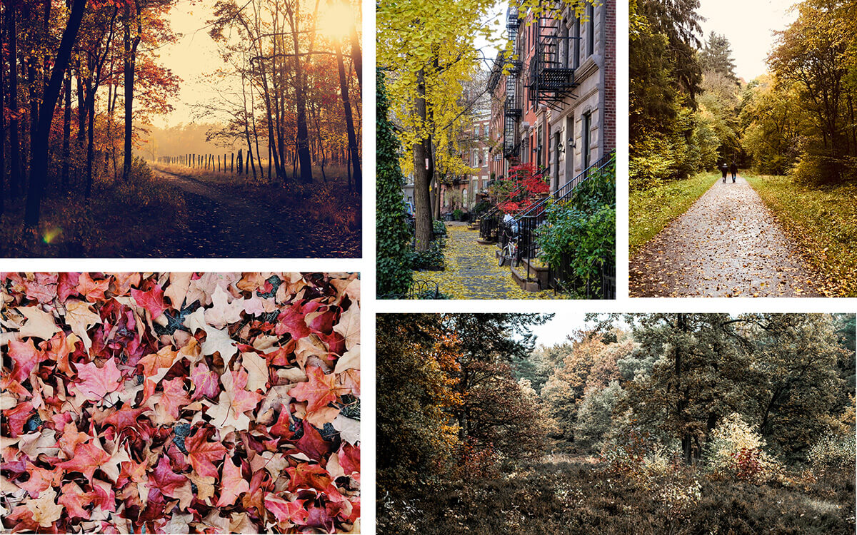 farbpsychologie-branding-herbst