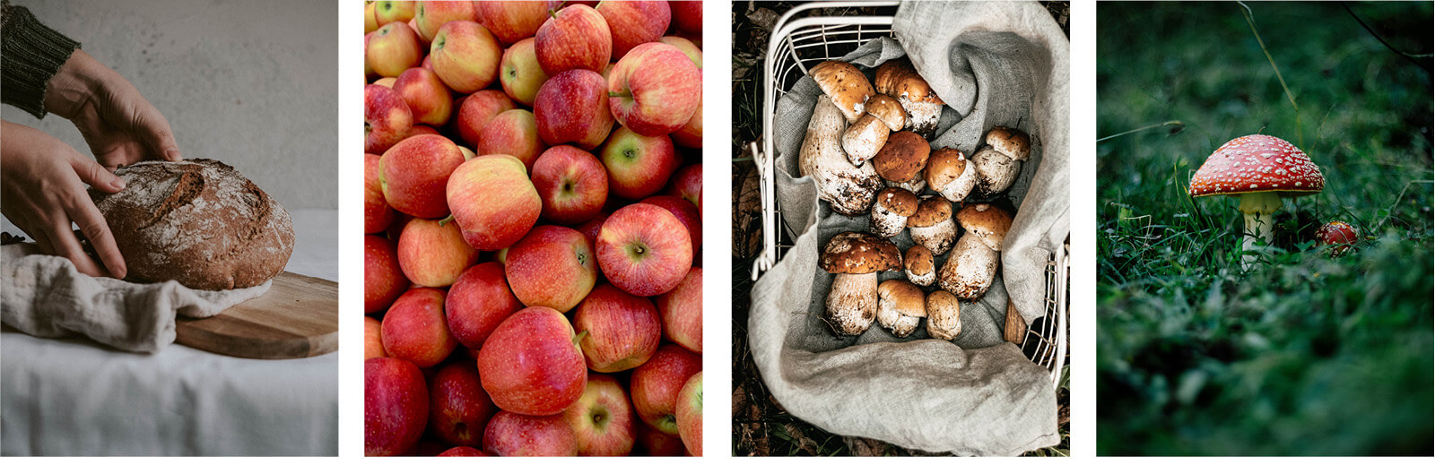 farbpsychologie-herbst3