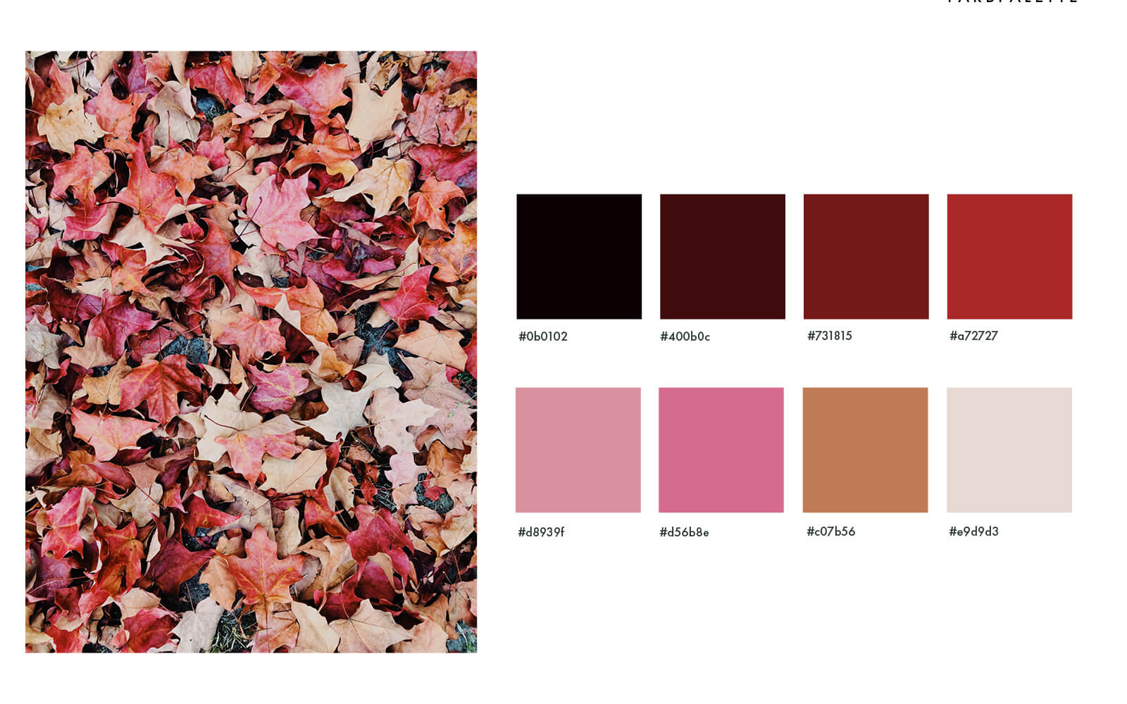 farbpsychologie-herbst6